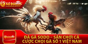 Đá Gà Sodo – Sân Chơi Cá Cược Chọi Gà Số 1 Việt Nam