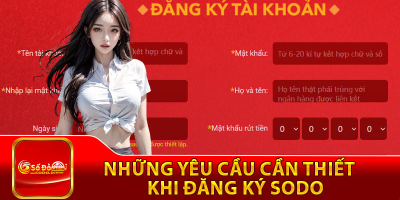 Đăng Ký Sodo – Hướng Dẫn Chi Tiết Thực Hiện Nhanh Gọn 2 Những yêu cầu cần thiết khi đăng ký Sodo